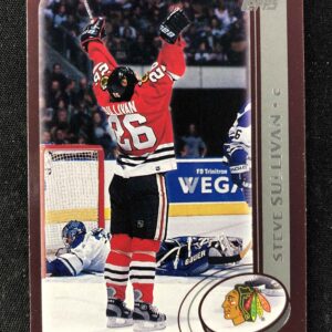 2002/2003 Topps Base 179 Steve Sullivan