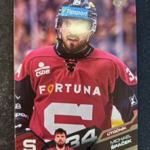 2025/2026 Sportzoo Serie 1 Base 54 Michael Špaček