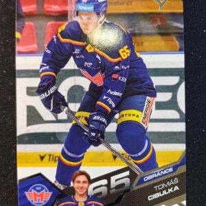 2025/2026 Sportzoo Serie 1 Base 93 Tomáš Cibulka