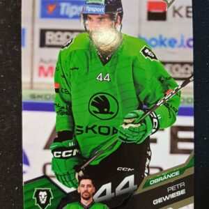 2025/2026 Sportzoo Serie 1 Base 110 Petr Gewiese