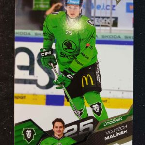 2025/2026 Sportzoo Serie 1 Base 120 Vojtěch Malínek