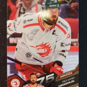 2025/2026 Sportzoo Serie 1 Base 133 Richard Nedomlel