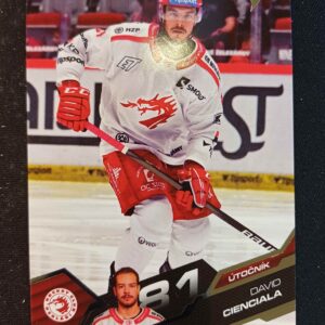 2025/2026 Sportzoo Serie 1 Base 134 David Cienciala