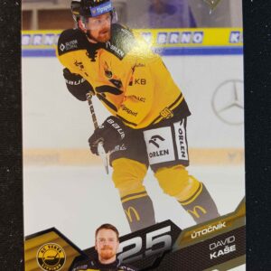 2025/2026 Sportzoo Serie 1 Base 159 David Kaše