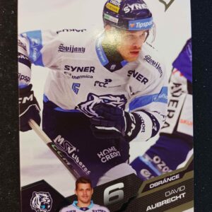 2025/2026 Sportzoo Serie 1 Base 183 David Aubrecht