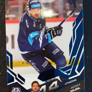 2025/2026 Sportzoo Serie 1 Azure Blue 190 Adam Musil Paralel