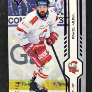 2024/2025 Sportzoo Serie 2 Purple Iceberg 334 Pavel Musil Paralel 16/60