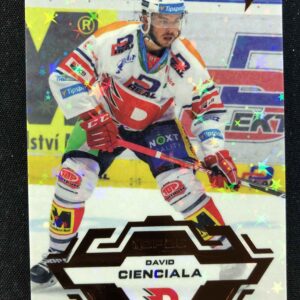 2023/2024 Sportzoo Serie 1 Blade Sparks 46 David Cienciala Paralel /25