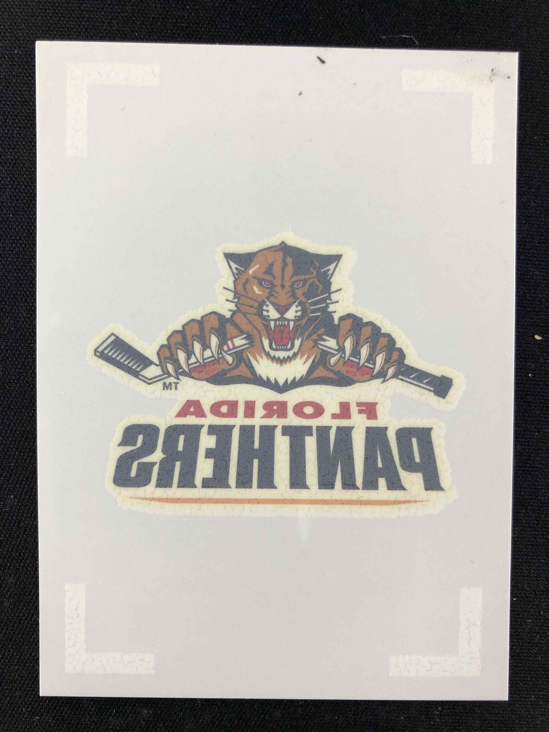 2009/2010 Upper Deck Collectors Choice Badge of Honor Tattoos BH13 Florida Panthers Inzert