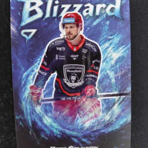 2025/2026 Sportzoo Serie 1 Blizzard BL-12 Petr Šenkeřík Inzert