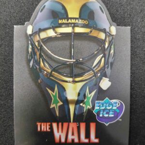 1995/1996 Collectors Edge Edge Ice The Wall TW2 Manny Fernandez Inzert