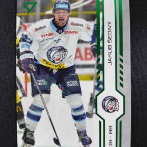 2024/2025 Sportzoo Play Off Green Glitter 406 Jakub Šedivý Paralel 06/30