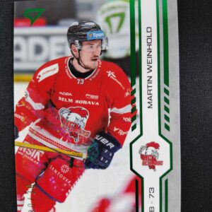 2024/2025 Sportzoo Play Off Green Glitter 430 Martin Weinhold Paralel 30/30