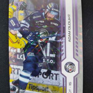 2024/2025 Sportzoo Play Off Puck Marks 407 Adam Dlouhý Paralel