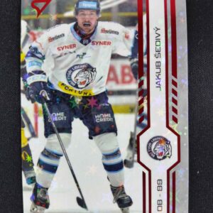 2024/2025 Sportzoo Play Off Red Sparks 406 Jakub Šedivý Paralel