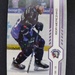 2024/2025 Sportzoo Serie 1 Puck Marks 204 Igor Merezhko Paralel