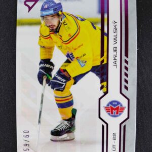 2024/2025 Sportzoo Serie 1 Purple Iceberg 108 Jakub Valský Paralel 59/60