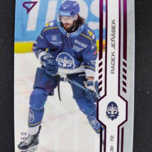 2024/2025 Sportzoo Serie 1 Purple Iceberg 238 Radek Jeřábek Paralel 15/60