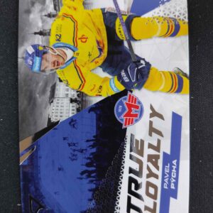 2024/2025 Sportzoo Serie 1 True Loyalty TL-11 Pavel Pýcha Inzert