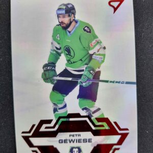 2023/2024 Sportzoo Serie 2 Goal Light 330 Petr Gewiese Paralel /60