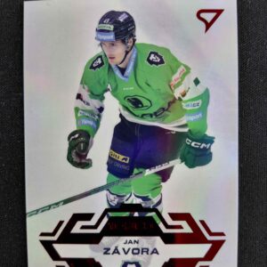2023/2024 Sportzoo Serie 2 Goal Light 338 Jan Závora Paralel /60
