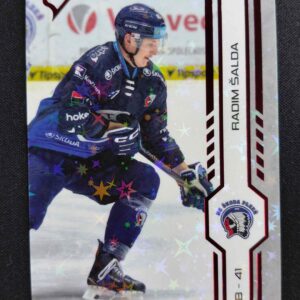 2024/2025 Sportzoo Play Off Red Sparks 439 Radim Šalda Paralel