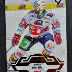 2023/2024 Sportzoo Serie 1 Blade Sparks 44 David Musil Paralel /25