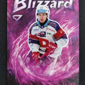 2025/2026 Sportzoo Serie 1 Blizzard Coral Pink BL-04 Daniel Gazda Inzert 14/60