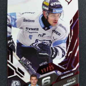 2025/2026 Sportzoo Serie 1 Ruby Red 183 David Aubrecht Paralel 19/25