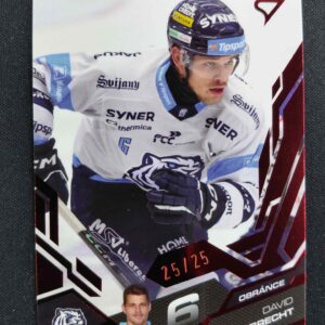 2025/2026 Sportzoo Serie 1 Ruby Red 183 David Aubrecht Paralel 25/25