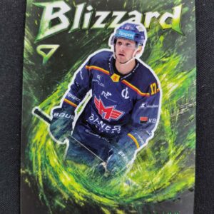 2025/2026 Sportzoo Serie 1 Blizzard Forest Green BL-20 Matej Kašlík Inzert 11/99