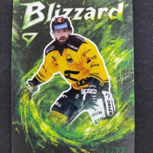 2025/2026 Sportzoo Serie 1 Blizzard Forest Green BL-28 Nicolas Hlava Inzert 90/99