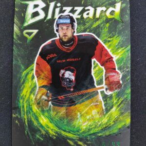 2025/2026 Sportzoo Serie 1 Blizzard Forest Green BL-43 David Škůrek Inzert 26/99
