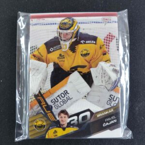 2025/2026 Sportzoo Serie 1 & 2 Base HC Verva Litvínov kompletní Set