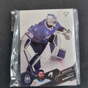 2025/2026 Sportzoo Serie 1 Base Rytíři Kladno Set