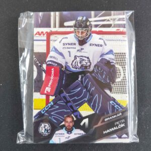 2025/2026 Sportzoo Serie 1 Base Bílí Tygři Liberec Set