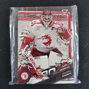 2025/2026 Sportzoo Serie 1 & 2 Base HC Oceláři Třinec kompletní Set