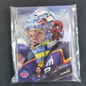 2025/2026 Sportzoo Serie 1 Base Motor České Budějovice Set