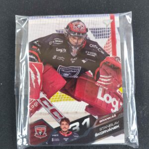 2025/2026 Sportzoo Serie 1 & 2 Base HK Mountfield Hradec Králové kompletní Set