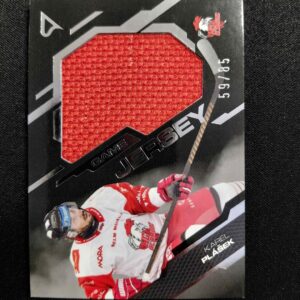 2025/2026 Sportzoo Serie 2 Game Jersey Silver GJ-PL Karel Plášek Jersey 59/85