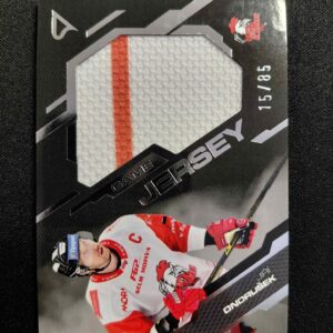 2025/2026 Sportzoo Serie 2 Game Jersey Silver GJ-ON Jiří Ondrušek Jersey 15/85