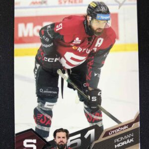 2025/2026 Sportzoo Serie 2 Base 272 Roman Horák