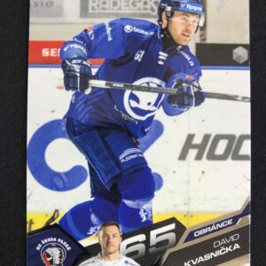 2025/2026 Sportzoo Serie 2 Base 324 David Kvasnička