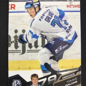 2025/2026 Sportzoo Serie 2 Base 332 Tomáš Galvas