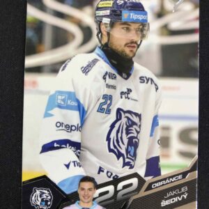 2025/2026 Sportzoo Serie 2 Base 333 Jakub Šedivý