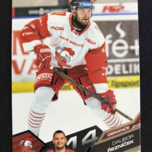 2025/2026 Sportzoo Serie 2 Base 355 Dalibor Řezníček