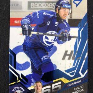 2025/2026 Sportzoo Serie 2 Azure Blue 324 David Kvasnička Paralel