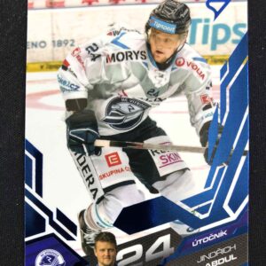 2025/2026 Sportzoo Serie 2 Azure Blue 339 Jindřich Abdul Paralel