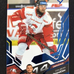 2025/2026 Sportzoo Serie 2 Azure Blue 355 Dalibor Řezníček Paralel