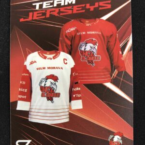 2025/2026 Sportzoo Serie 2 Powerhouse PH-124 Jerseys Inzert